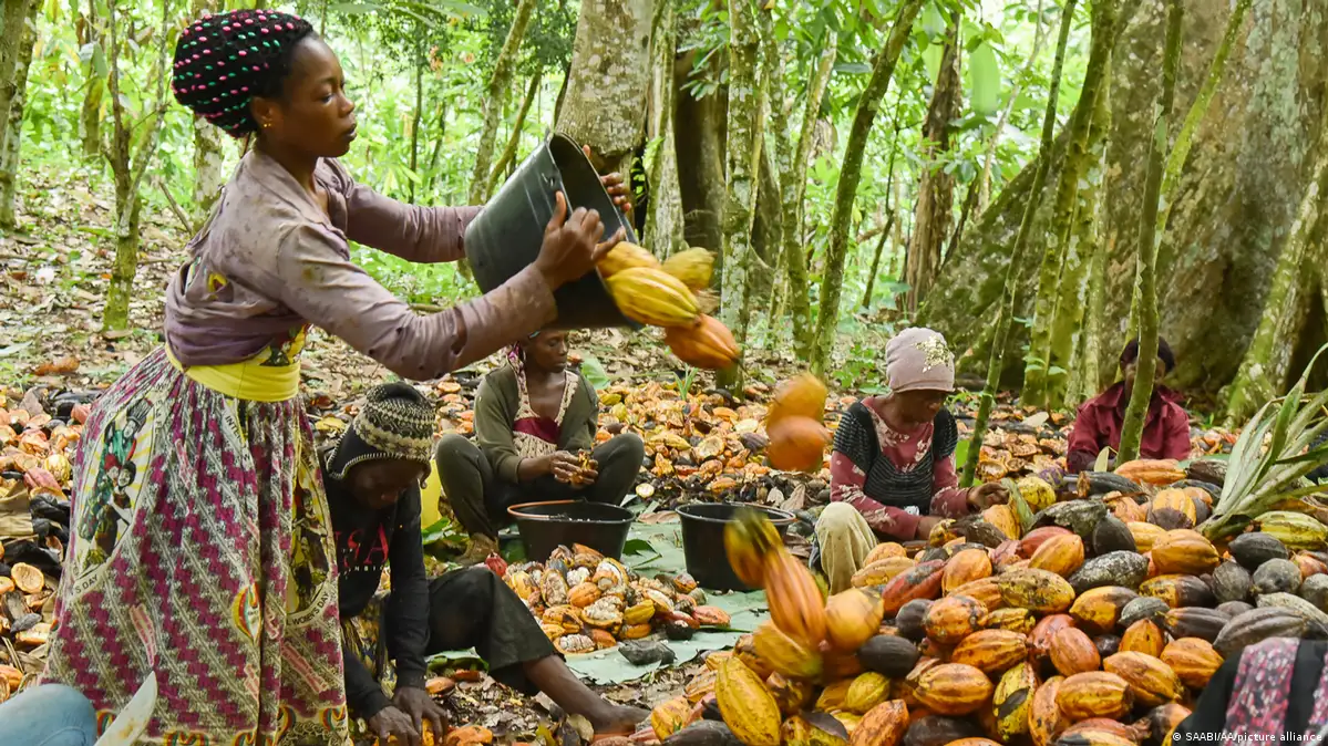 Agricultural cooperative
